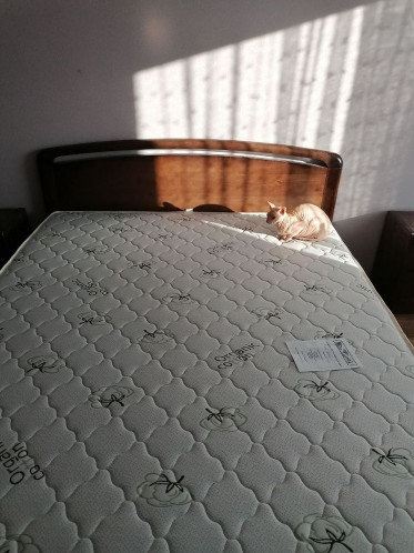 Наши работы